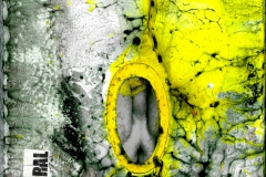 Oral Detail