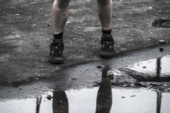 FLOTHIC Lounge Sprinter Flowers